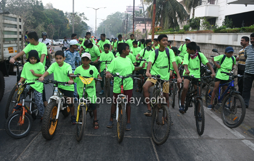 rallies bicycle