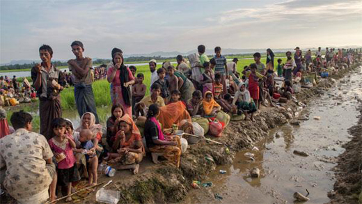 rohingya13jan