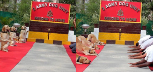 armydog21jun19