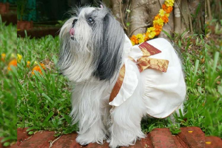 Pet_dogs_onam