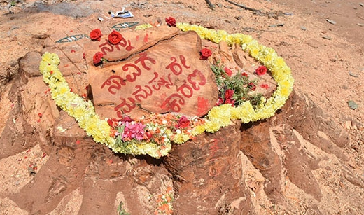 performing final rites for tree in mysore