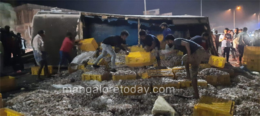 Mangalore Today Latest Main News Of Mangalore Udupi Page Fish Lorry Overturns At Mukka