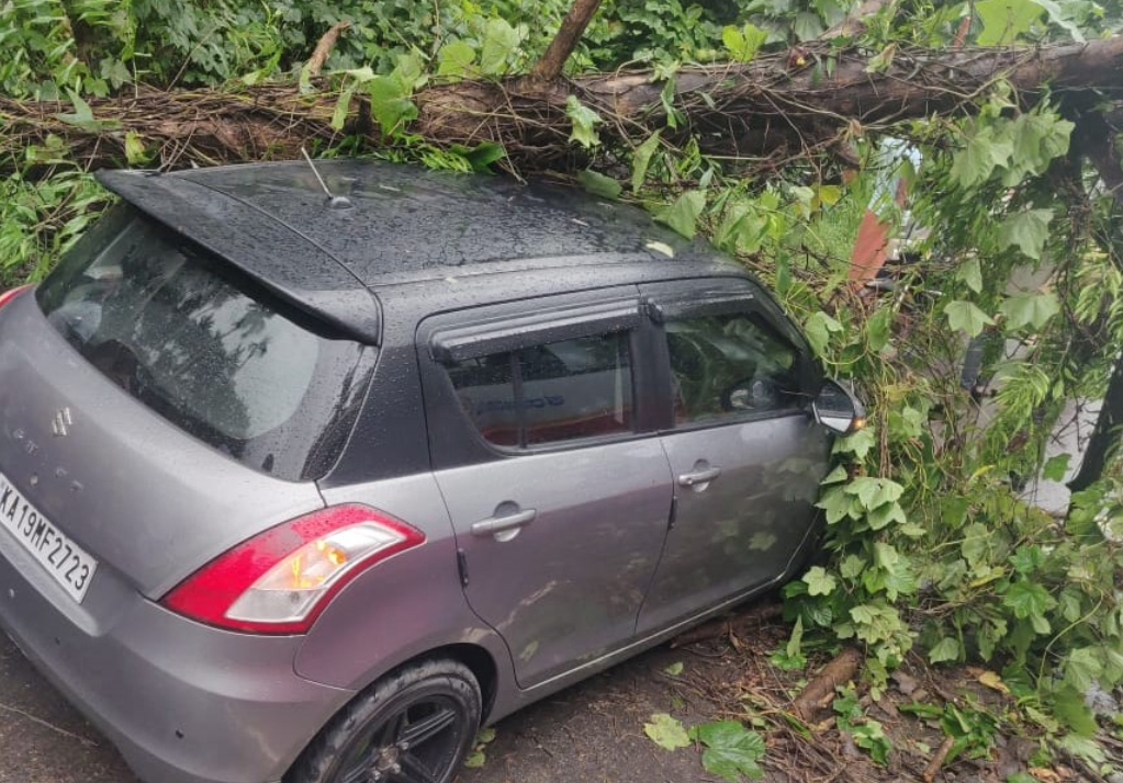 Mangalore Today Latest Main News Of Mangalore Udupi Page Puttur Tree Falls Over Car None Hurt