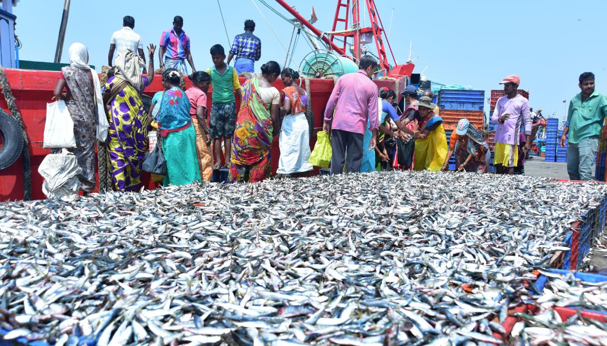 Mangalore Today Latest Main News Of Mangalore Udupi Page Deep Sea Fishing Ban From June