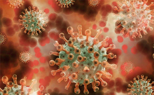 coronavirus