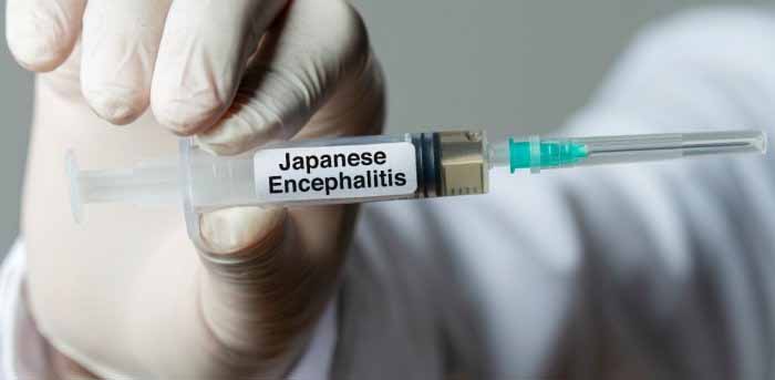 Japanese Encephalitis vaccine