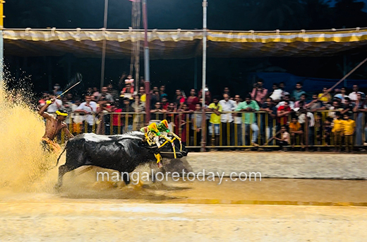 Kambala