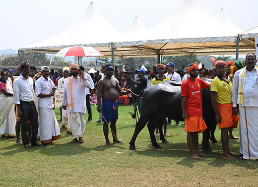 India Paddle Festival 2025 at Sahyadri college