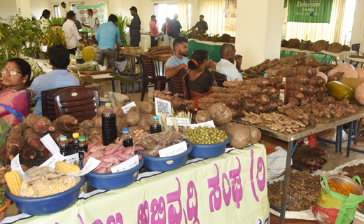 Gedde Genasu Mela Mangalore