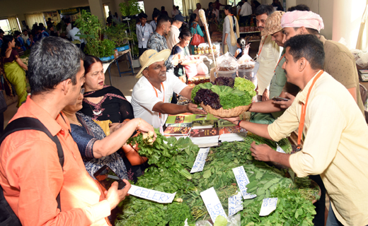 Gedde Genasu Mela Mangalore