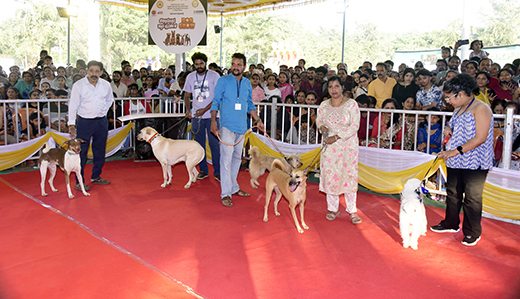 Dog Show Enthralls Mangaluru