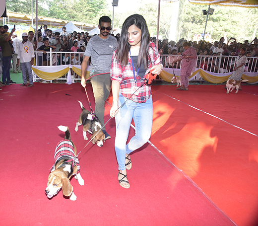 Dog Show Enthralls Mangaluru