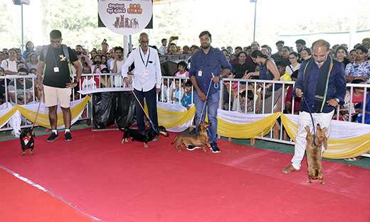 Dog Show Enthralls Mangaluru