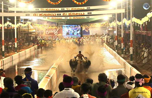 Lava Kusha Jodukere Kambala