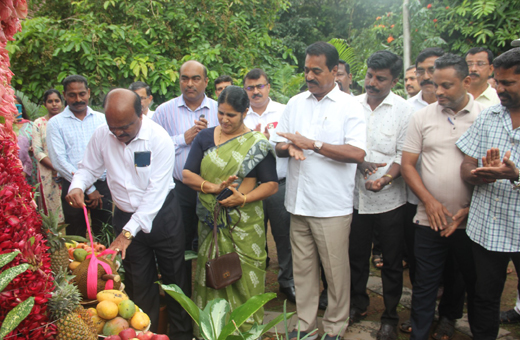 jackfruit mela