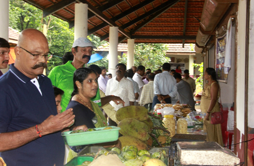 jackfruit mela