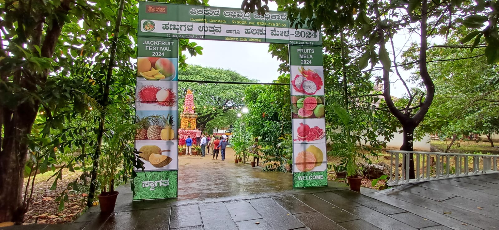 jackfruit mela