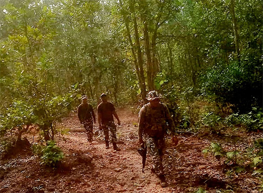 Naxals May Surrender in Western Ghats