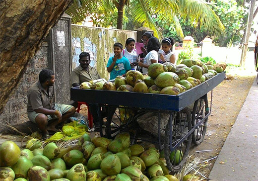 Tender coconut prices shoot up