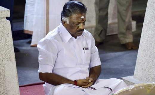 panneerselvam.j