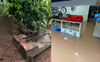 Fengal effect: Heavy rains in Mangaluru, water logging in many places