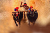 PIL in High court to halt Kambala race