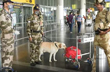 Threat e-mail to blow up 13 airports across country, search on