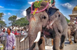 Elephant Arjuna of Dasara fame dies after being attacked by wild tusker in Sakleshpur