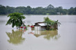 Assam floods: Over 57,000 people, 222 villages affected; rains wash of road, watch