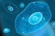 Amid Covid scare, South Korea registers first death linked to Brain-Eating Amoeba