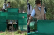 Moment when Cheetahs were released into their new home, Watch