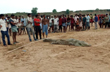 10-year-old boy swallowed by giant crocodile while bathing in MPs Chambal river