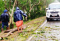 12 Dead in West Bengal, Cyclone Amphan damages 5,500 houses