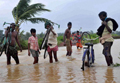 Heavy rain triggers floods in Odisha, thousands evacuated