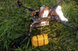 Pak drone shot down by Border Force along Punjab border