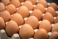 Man in UP dies in a bizarre challenge to eat 50 eggs for Rs 2,000