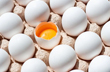 Maharashtra facing shortage of 1 Crore eggs per day: Official