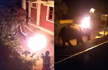 Elephant dies as Tamil Nadu resort workers throw burning tyre at it, horrifying video shocks India