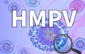 2 babies diagnosed with HMPV virus in Bengaluru, no travel history: Centre