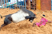 1 Dead, 80 injured as Jallikattu contests begin in Tamil Nadu’s Madurai