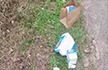 Tourists forced to drive back 80 kilometres to clean their trash; Internet says well done’