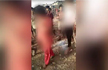 Rape survivor paraded with her attacker in MP