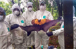 Nipah scare in Kerala: Samples from 30 bats and 3 pigs from Thodupuzha