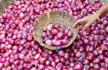 Onions may make you weep more as prices expected to shoot up after Turkey puts brakes on exports