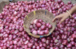 Onion prices touch Rs 200 in state; relief only in Jan