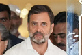 CWC members urge Rahul Gandhi to take Leader of Oppn. role