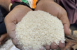 Punjab steps in to help Karnataka with its free rice scheme