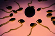 Significant decline in sperm counts globally, including India, says study