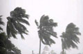 Ten killed as cyclone hits Tamil Nadu