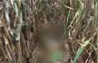 3-Year-old raped, killed in UP, third incident in district in 20 days